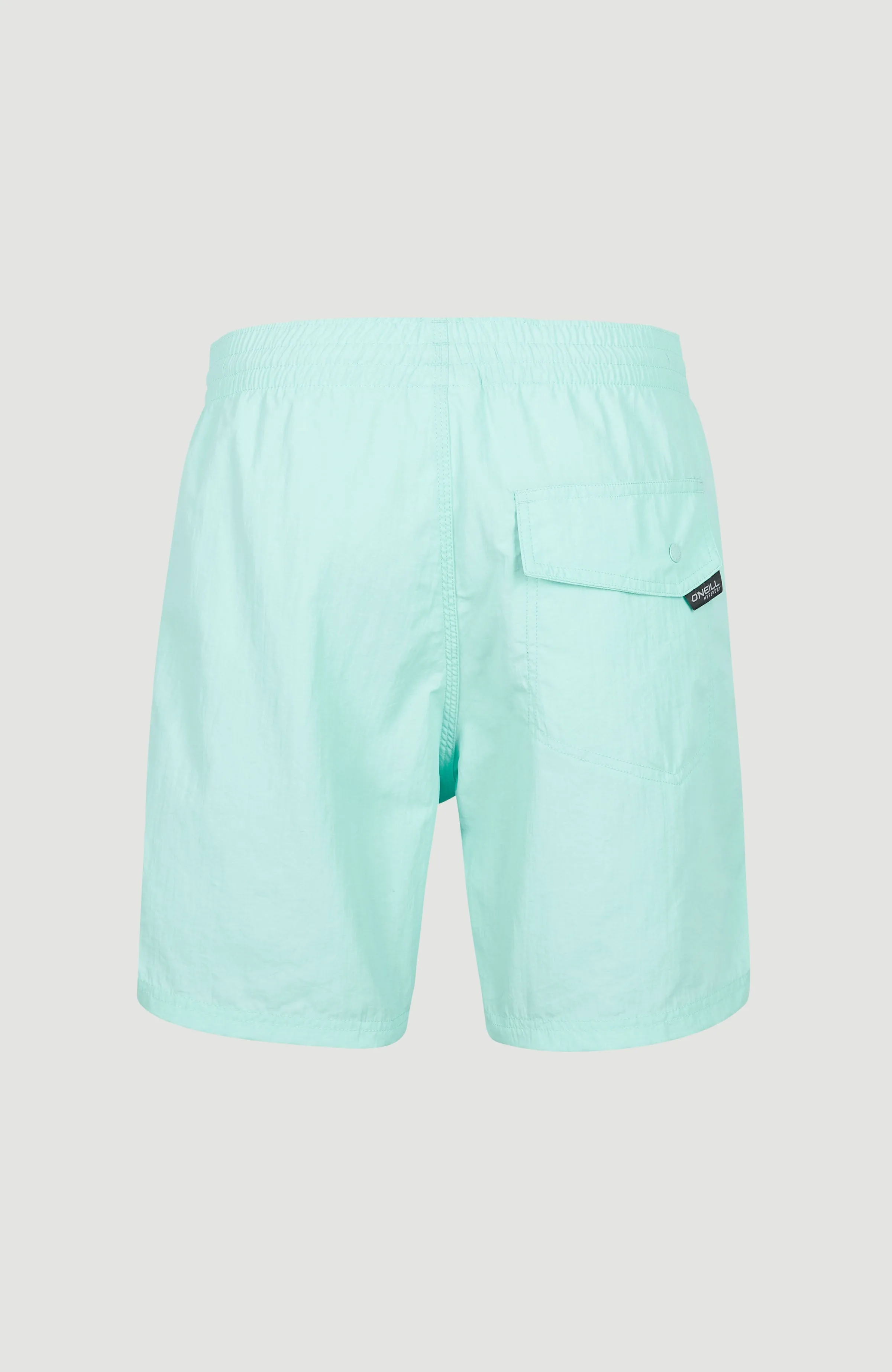 Vert 16'' Swim Shorts | Beach Glass