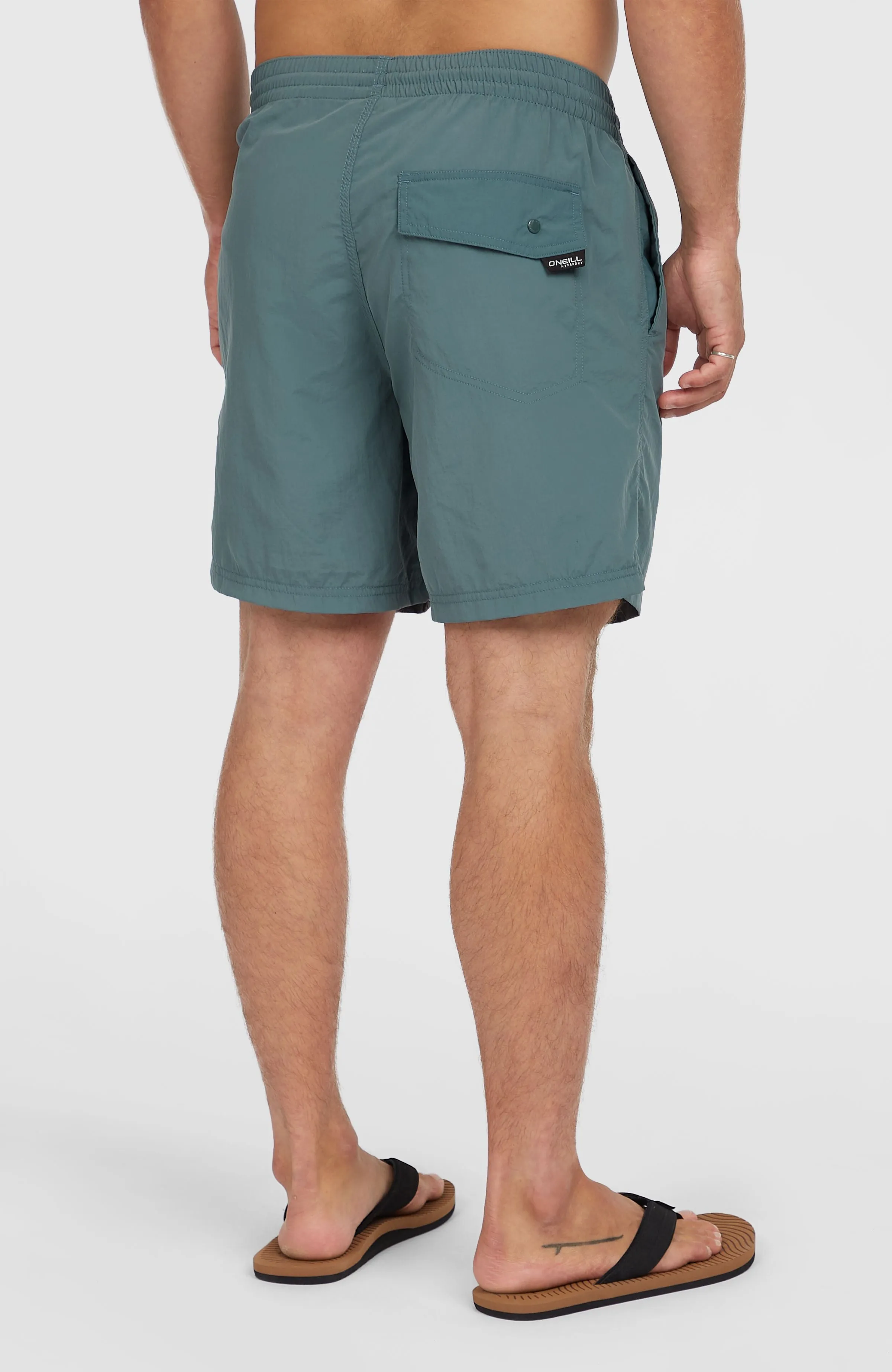 Vert 16'' Swim Shorts | North Atlantic